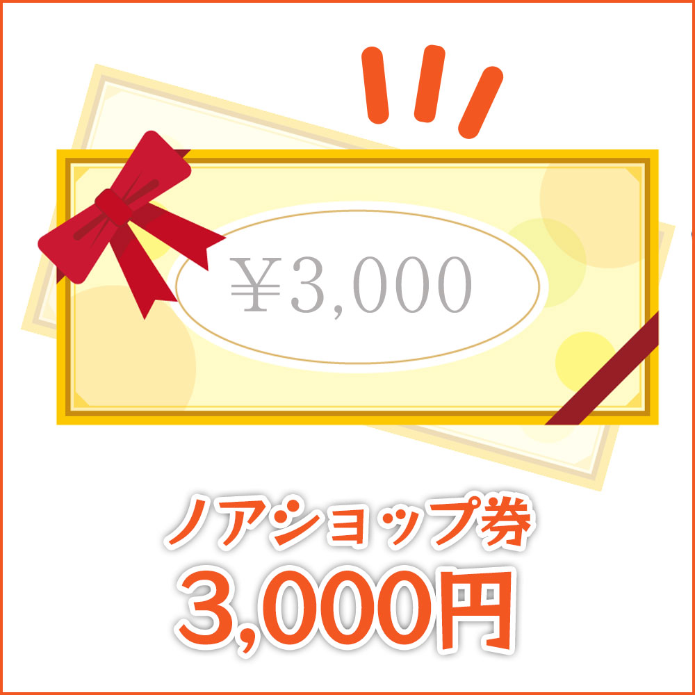 オープンキャンペーン・プレゼント ショップ券3000円